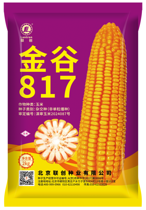 金谷817